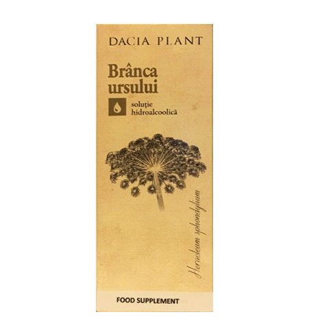 Dacia-Plant-Branca-Ursului-Cow-Parsnip-Heracleum-sphondylium-200-ml-4