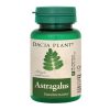 dacia plant astragalus