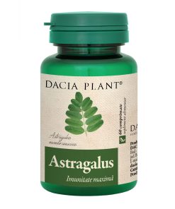 dacia plant astragalus