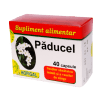 Hofigal Capsule paducel UK 40 capsule