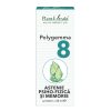 Polygemma 8 UK Astenie si Memorie 50ml