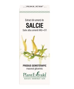 Extract Salcie Amenti Uk 50ml