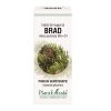 Extract Muguri de Brad Uk 50ml Plantextrakt