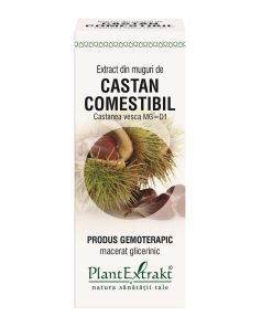 Plant Extrakt Extract din muguri de Castan comestibil UK 50 ml