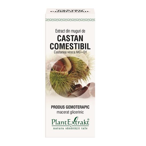 Plant Extrakt Extract din muguri de Castan comestibil UK 50 ml