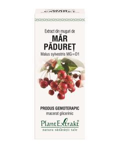 Plant Extrakt Extract din muguri de Măr Pădureț UK 50 ml