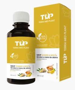 GINGER & MINT, lemon & honey SYRUP 200 ml