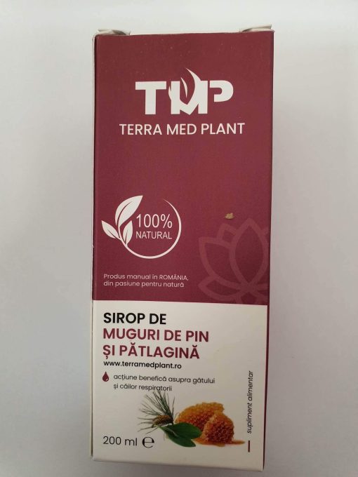 Plantain and Pine Bud Syrup 200 ml Terra Med Plant UK 1