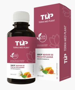 Plantain and Pine Bud Syrup 200 ml Terra Med Plant UK
