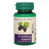 Dacia Plant Cortizon Natural UK 60 capsule
