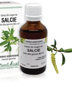 Extract Salcie Muguri Plantextrakt Uk 50ml