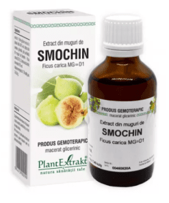 Extract din Muguri de Smochin Plantextrakt Uk 50ml