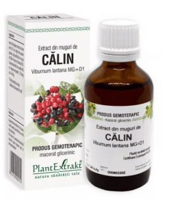Extract din muguri de Calin, 50 ml, Plant Extrakt