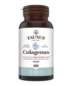 Colagen tip II pentru articulatii oase piele par Colagenus, 60 capsule, Faunus Plant