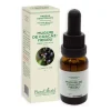 Muguri de Coacaz Negru, 15 ml, Plant Extrakt
