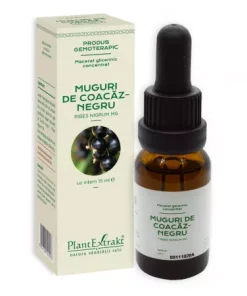 Muguri de Coacaz Negru, 15 ml, Plant Extrakt