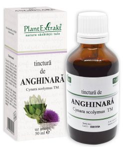 Tinctura de Anghinara, 50 ml, Plant Extrakt