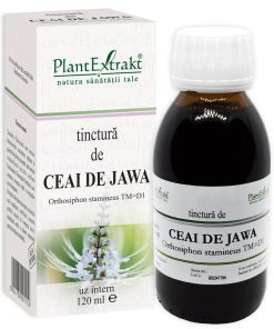 Tinctura de Ceai de Jawa, 120 ml, Plant Extrakt