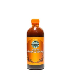 Sirop de Catina cu Macese 500 ml, Remediu Plant