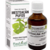 Extract din muguri de Mesteacan Pufos, 50 ml, Plant Extrakt