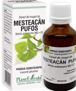 Extract din muguri de Mesteacan Pufos, 50 ml, Plant Extrakt