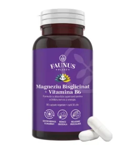 Magneziu Bisglicinat + Vitamina B6, 60 capsule, Faunus Plant