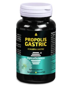 Propolis Gastric Echilibru Gastric, 60 capsule, ApicolScience