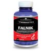 Falnik, 60 capsule, Herbagetica 2 Falnik, 60 capsule, Herbagetica