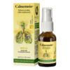 Calmotusin Spray fără alcool, 20 ml, Dacia Plant